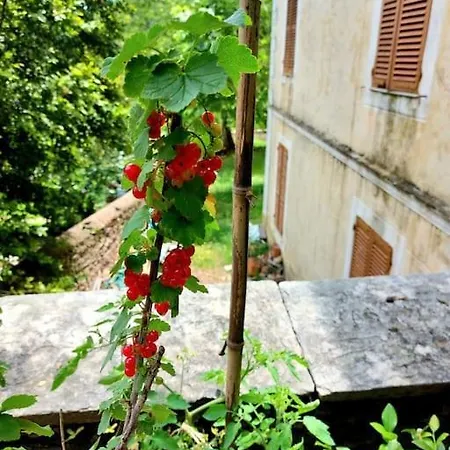 Apartment 120m2 Dans Maison De Maitre Pietracorbara